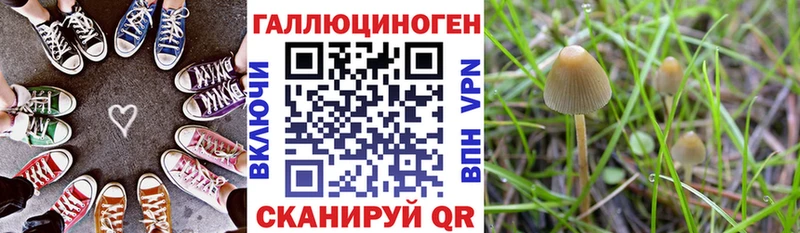 Галлюциногенные грибы Magic Shrooms  Купить закладки  Мариинск 